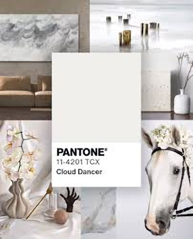 pantone 2026 color of the year Cloud Dancer, Brightens spaces and adds warmth without overpowering them.
